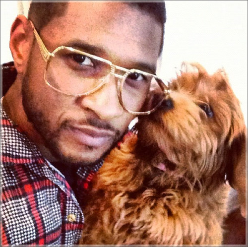 usher with a puppy