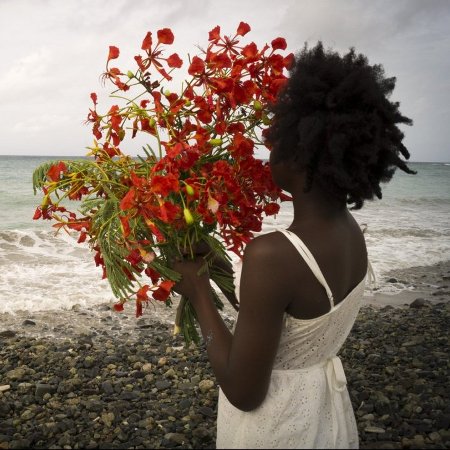 Deborah Jack, Black Contemporary Artists, Black Contemporary Photographers