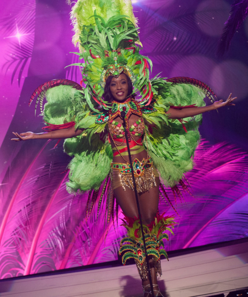Miss Universe 2015 Contestant Costumes