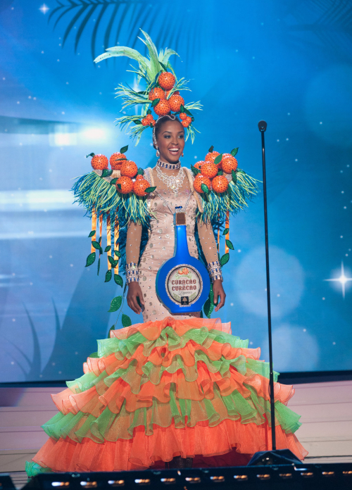 Miss Universe 2015 Contestant Costumes